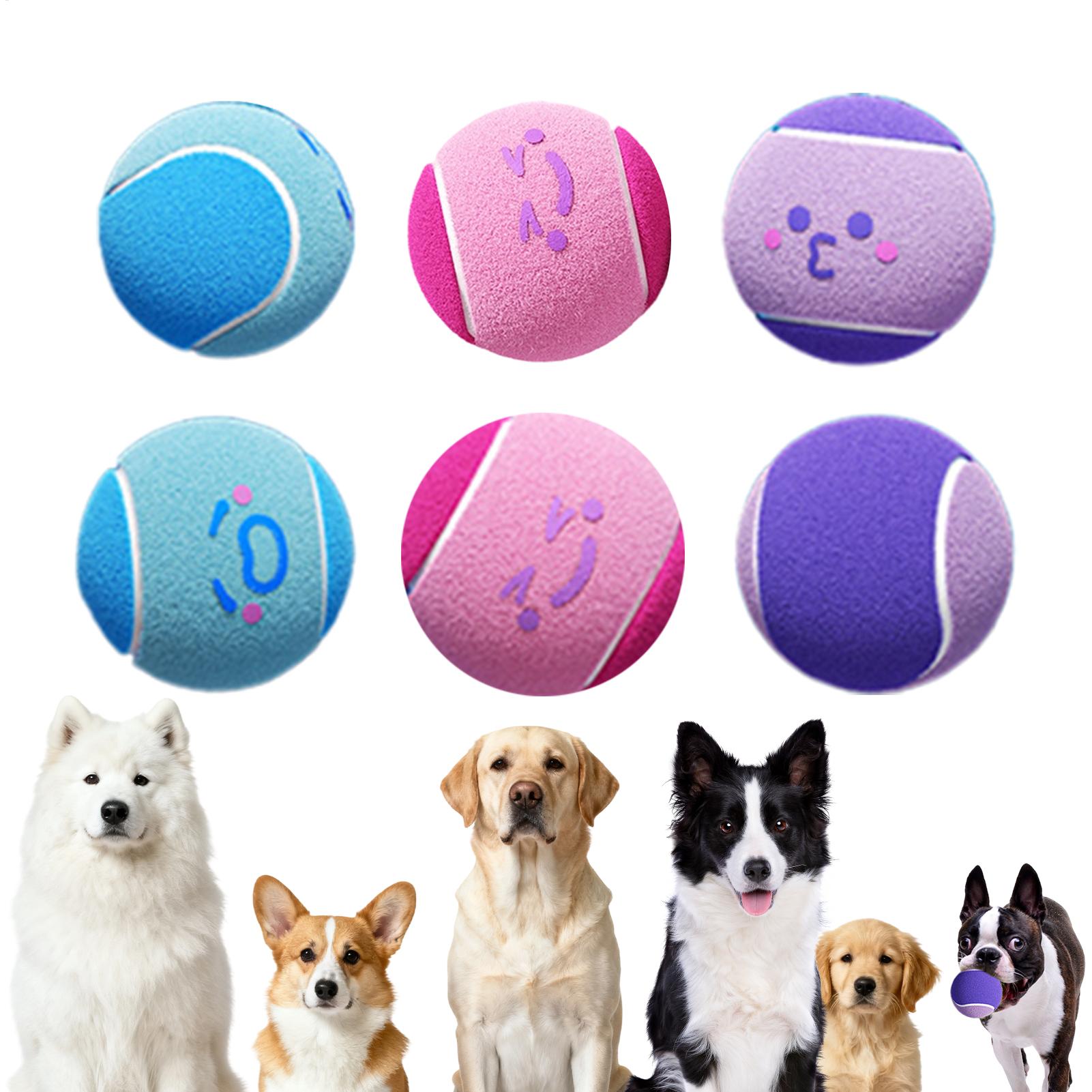 Tennis Balls for Dogs 6 Pieces - Kubb Game Yard ulasan dan harga