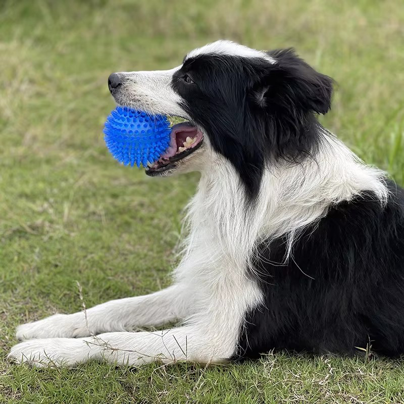 TPR Squeaky Spiked Dog Ball Ch - Spike Ball Game ulasan dan harga