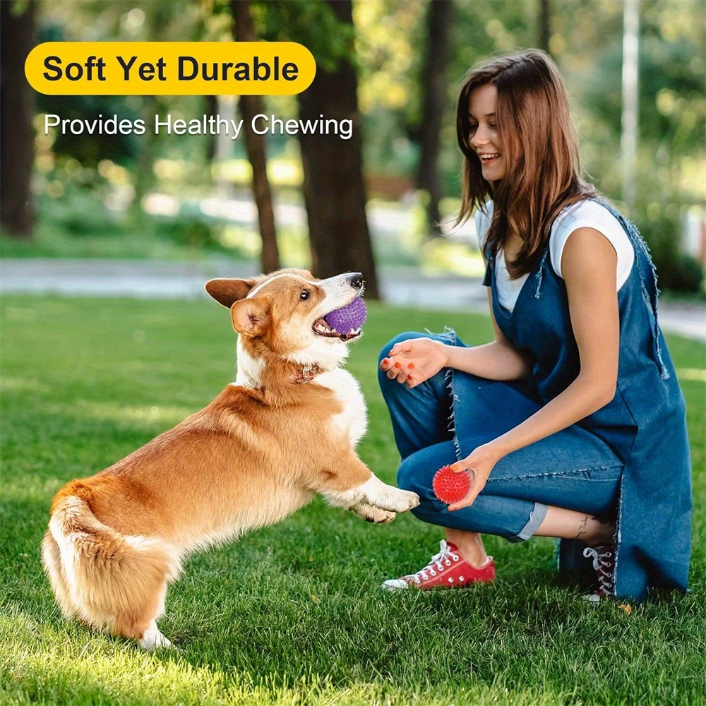 6pcs Dog Toy Balls, Non-Toxic, - Spike Ball Game ulasan dan harga