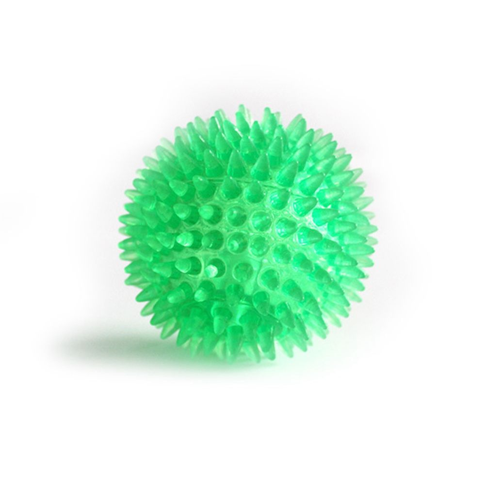 Pet Supplies Cleans Teeth Pupp - Spike Ball Game ulasan dan harga